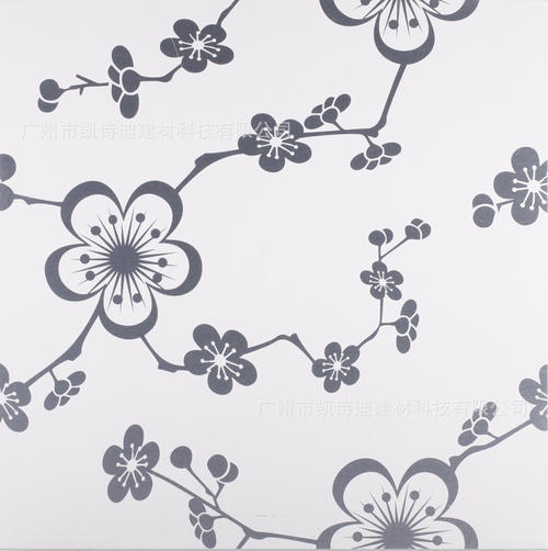 磨砂鋁扣板-鋁扣板都是什么工藝