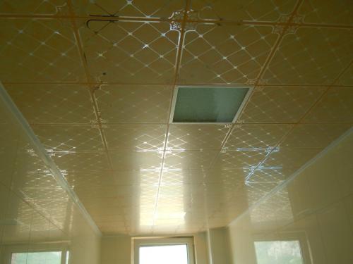 集成吊頂和仿集成吊頂-我站集成吊頂那一隊