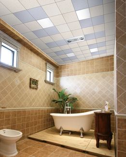 墻體整體鋁扣板效果圖-大型高校鋁扣板工程案例效果圖