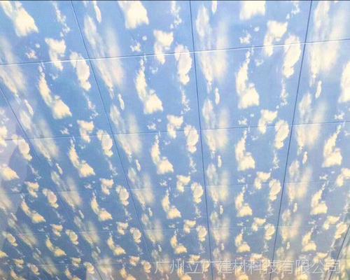 定做鋁扣板-衛生間鋁扣板吊頂長霉如何洗