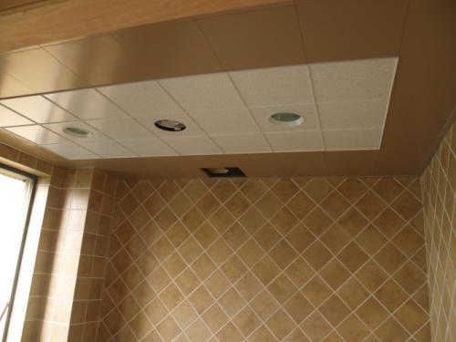 集成吊頂2級吊-客廳集成吊頂吊多高