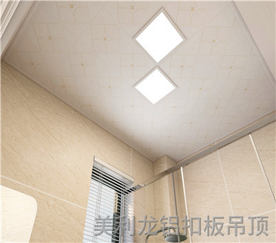 滾涂衛生間鋁扣板效果圖