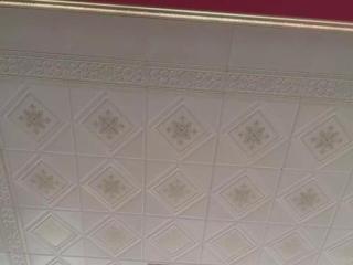 美式廁所鋁扣板吊頂-鋁扣板吊頂和PVC吊頂選哪個好