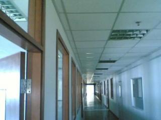 鋁合金隔墻鋁扣板-鋁扣板吊頂有什么優缺點