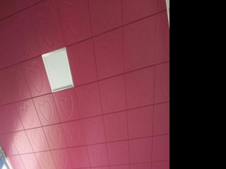 吊頂材料價鋁扣板-超多吊頂鋁天花材料供你選擇