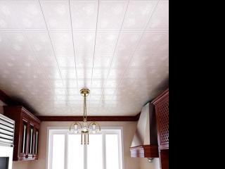 鋁扣板吊頂制造廠-廠區鋁單板吊頂工程案例