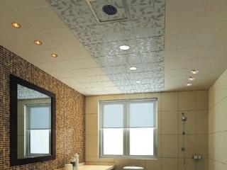 吊頂鋁扣板有限公司-恭喜廣西柳州醫藥與佛山美利龍鋁扣板工程項目合作