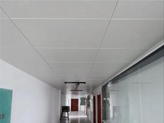 機房鋁扣板-機房吊頂用什么