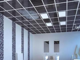 鋁扣板吊頂的生產廠-衛生間鋁扣板吊頂出現霉菌