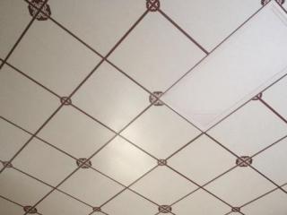 鋁扣板吊頂專業工程-專業鋁扣板廠家為你解答