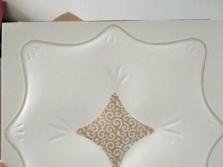 歐式集成吊頂鋁扣板-什么樣的鋁扣板吊頂好看