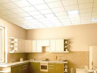 齊哈爾鋁扣板吊頂-辦公室吊頂應該選擇鋁扣板還是鋁單板