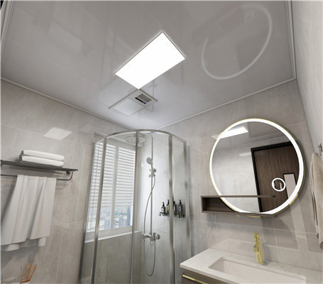 洗手間吊頂顏色 洗手間吊頂顏色