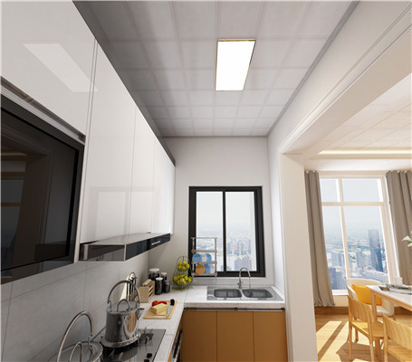 鋁扣板吊頂吸頂燈 鋁扣板吊頂吸頂燈